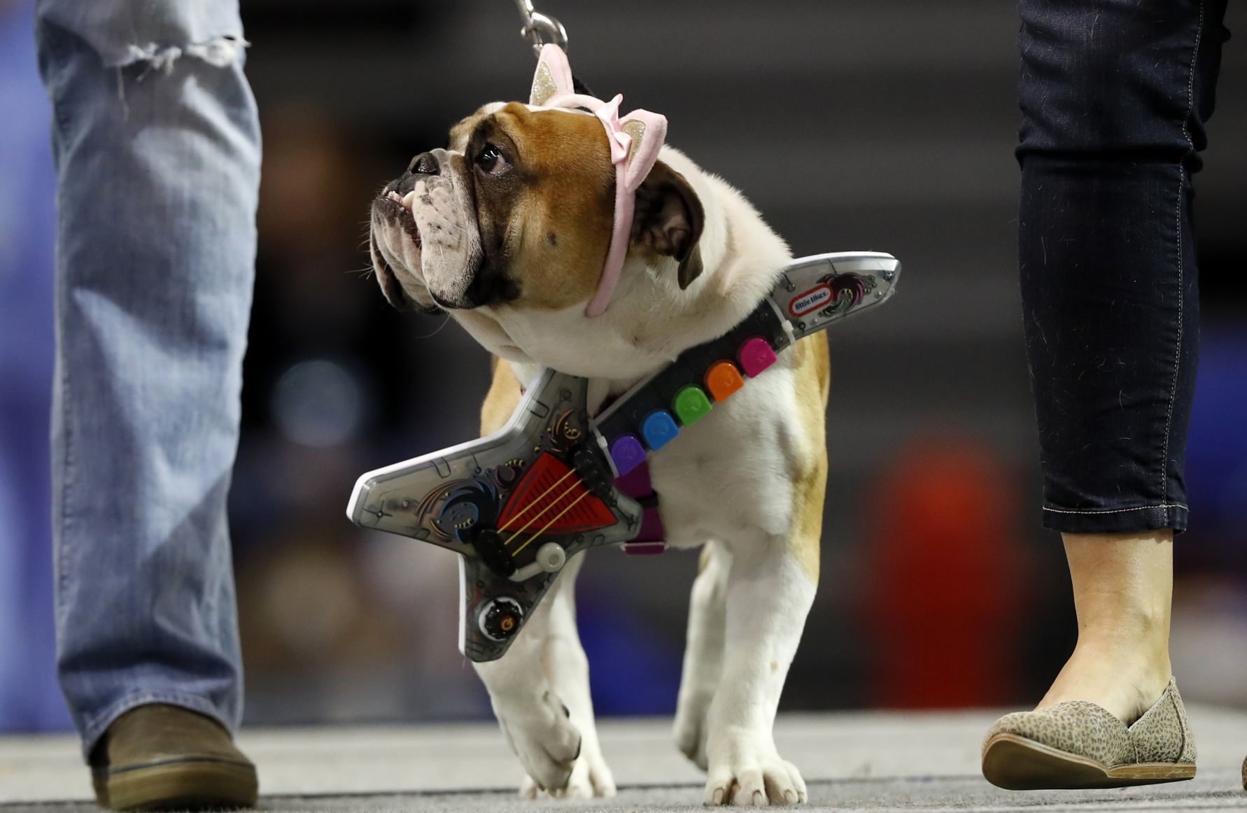042617AP--Drake-Beautiful-Bulldogs-17